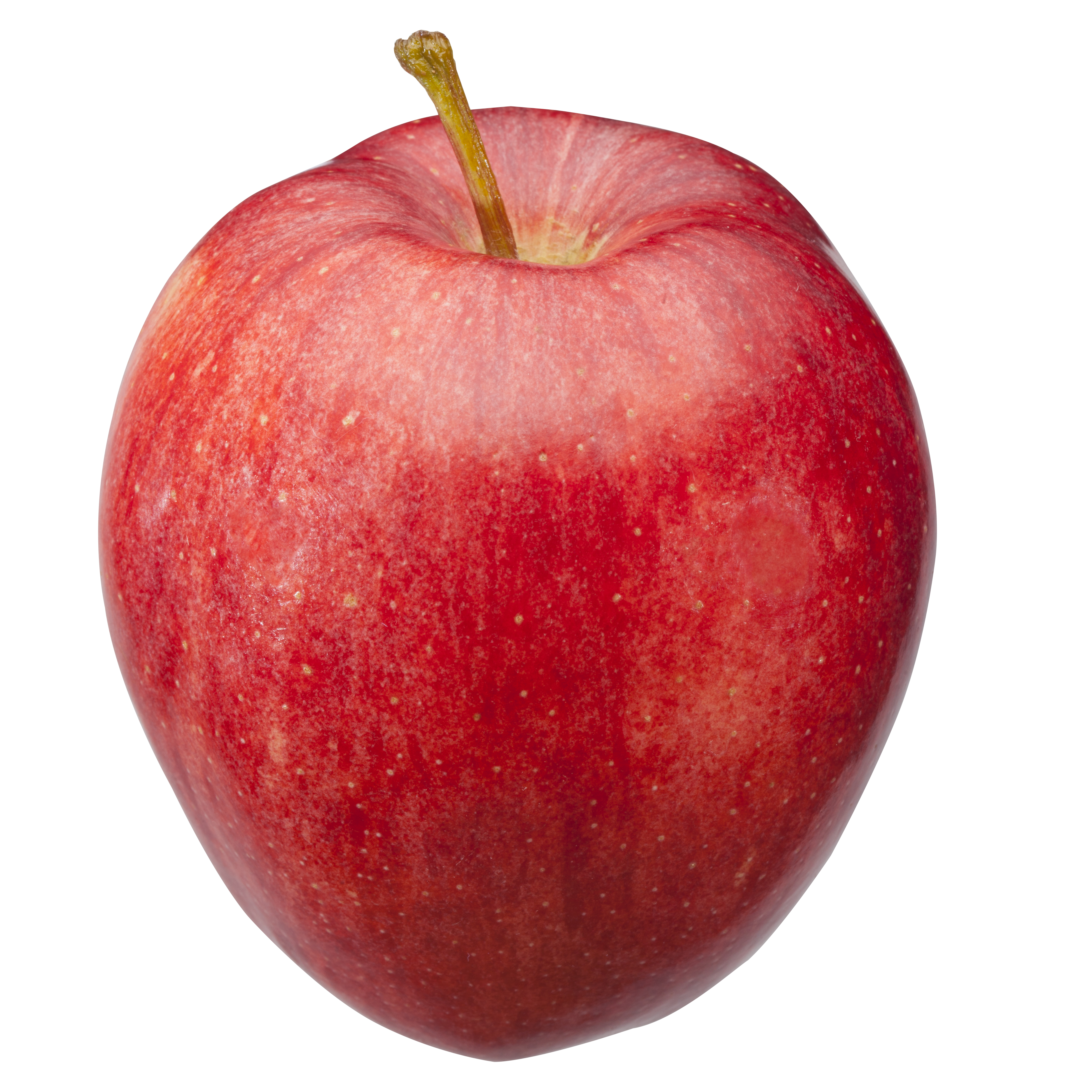 Michigan Apple Varieties | Michigan Apple Committee