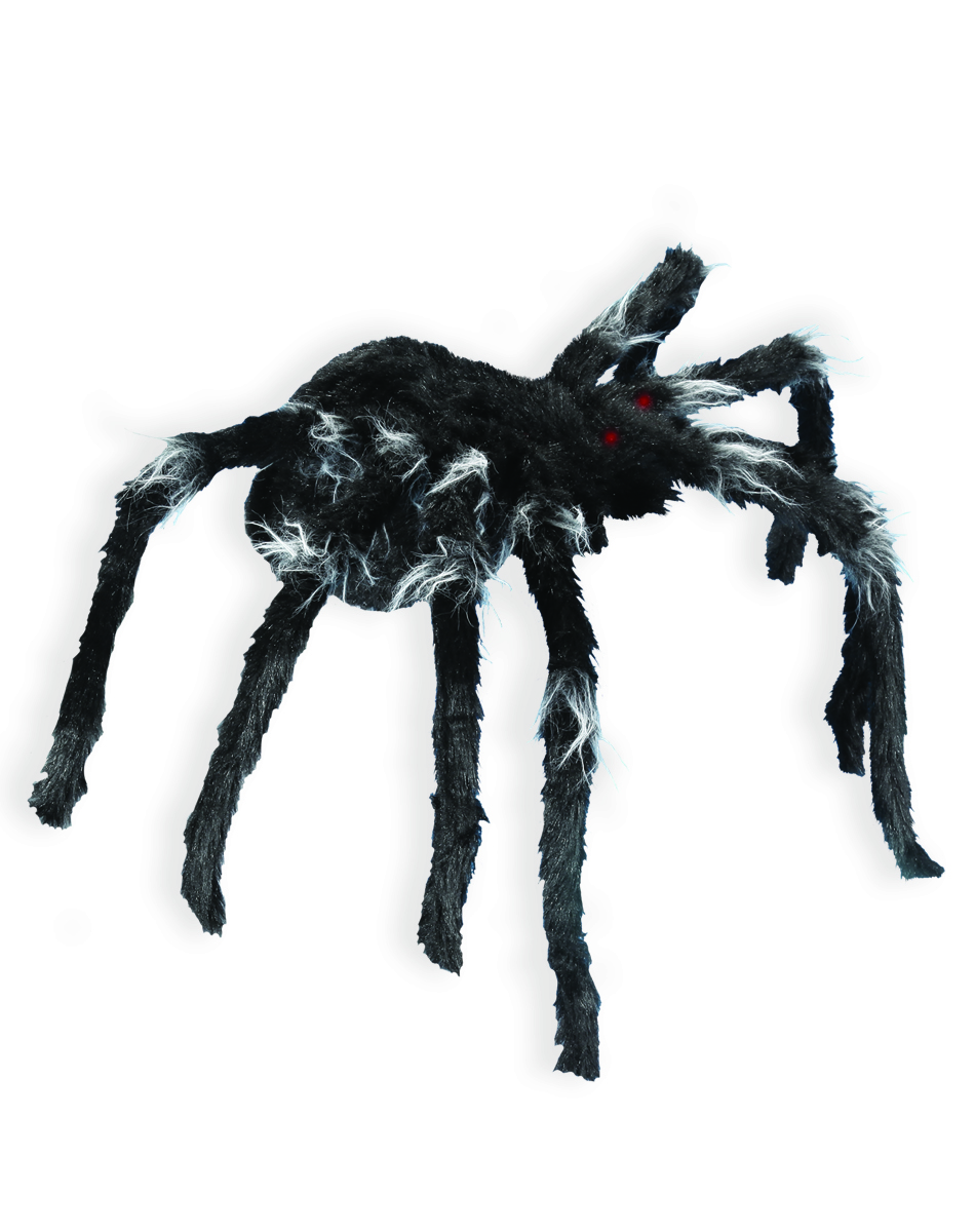 Black Jumping Spider Animated Decoration