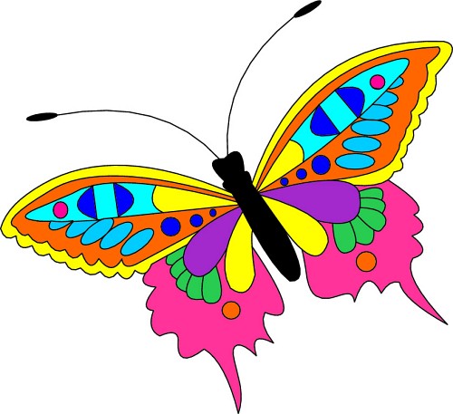Clipart butterfly pictures