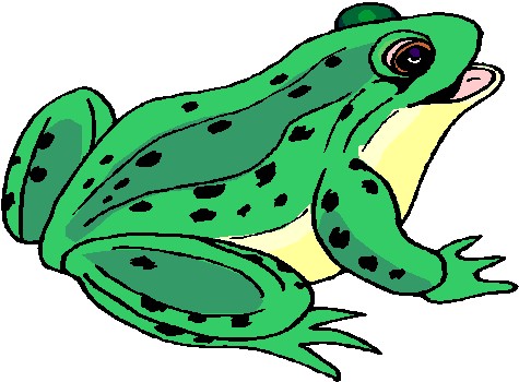 Frog Graphics - ClipArt Best