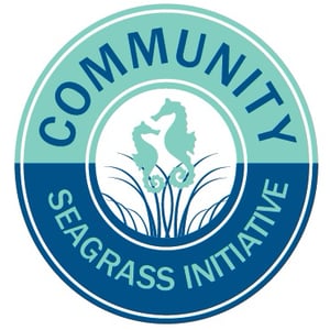 Community Seagrass Initiative on Vimeo