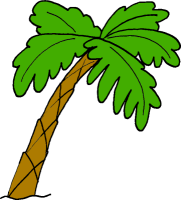 Cartoon palm tree