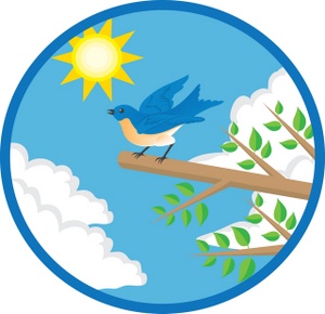 Blue Bird Clipart Image - Blue Bird In The Daytime