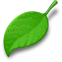 leaf_green+(1).png