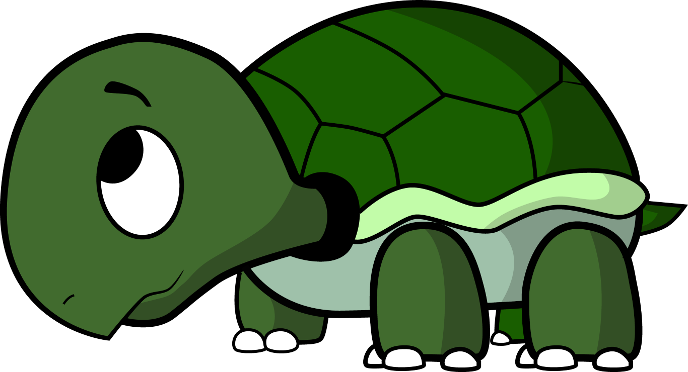 Turtle Shell Cartoon - ClipArt Best
