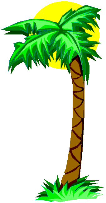 Pictures Of Cartoon Palm Trees Clipart - Free to use Clip Art Resource