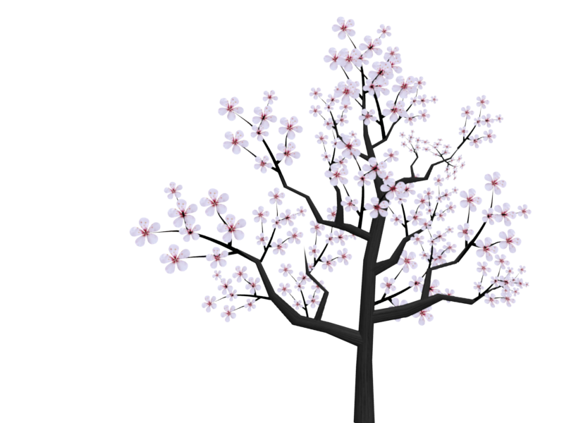 Cherry Blossom Branch by MaskOfVirtue on DeviantArt