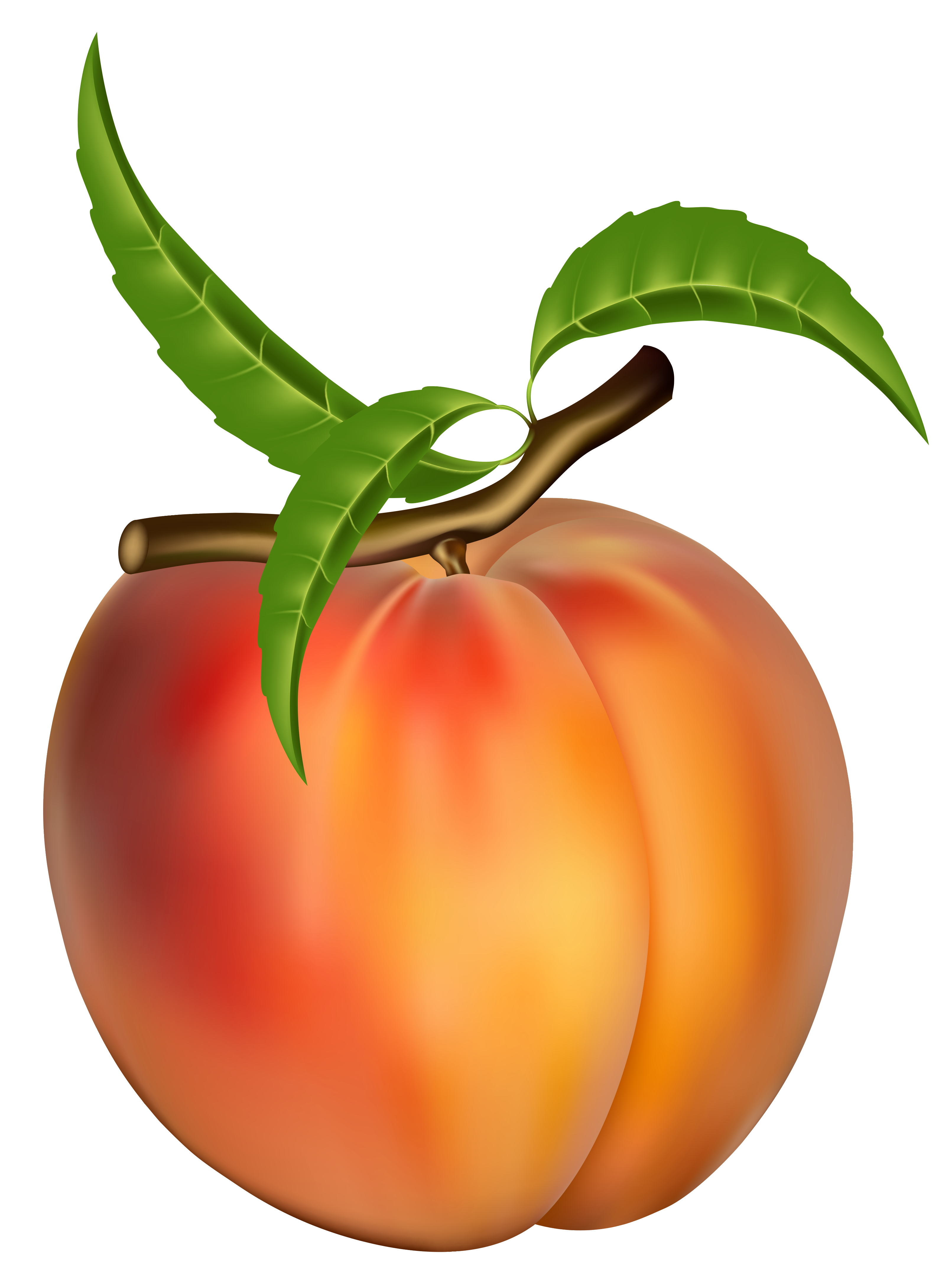 Peach Clip Art Free