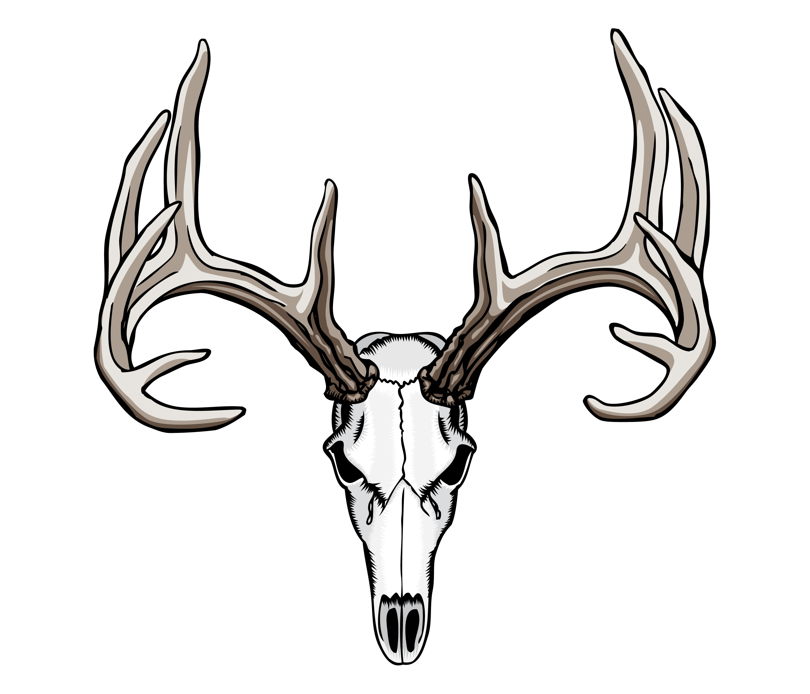 Bull skull line drawing how to draw skull tattoos | Chainimage