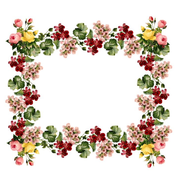 Vintage Flowers Borders Clipart