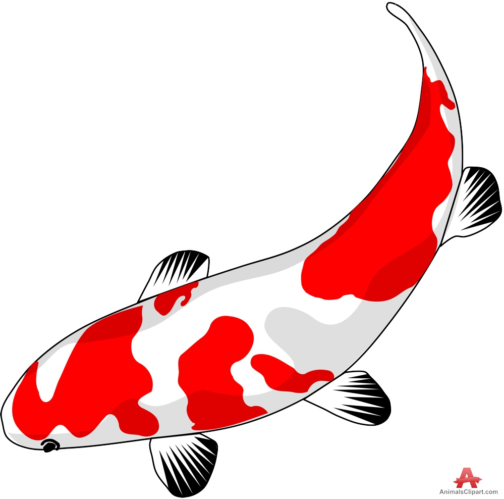 Koi Clipart | Free Download Clip Art | Free Clip Art | on Clipart ...