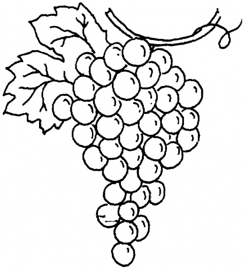 Grapes coloring pages | Super Coloring