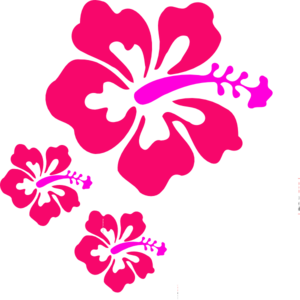 Coral Hibiscus clip art - vector clip art online, royalty free ...