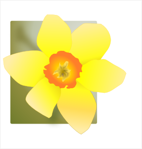 Daffodil clip art Free Vector / 4Vector