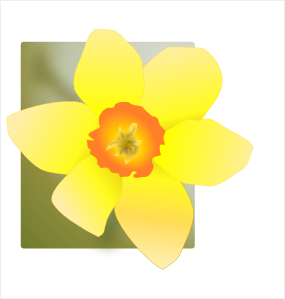 Daffodil clip art Free Vector