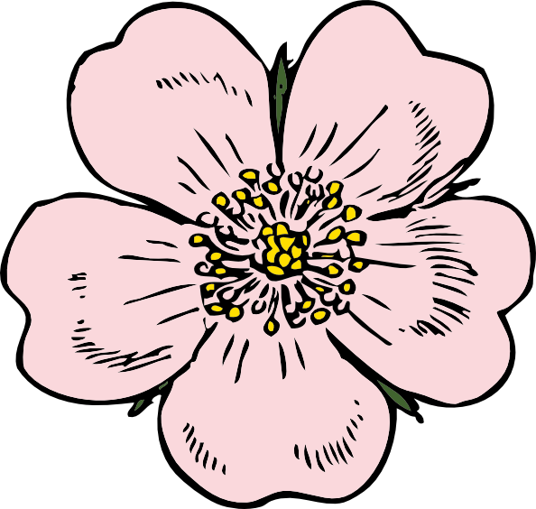 Wild Rose clip art - vector clip art online, royalty free & public ...