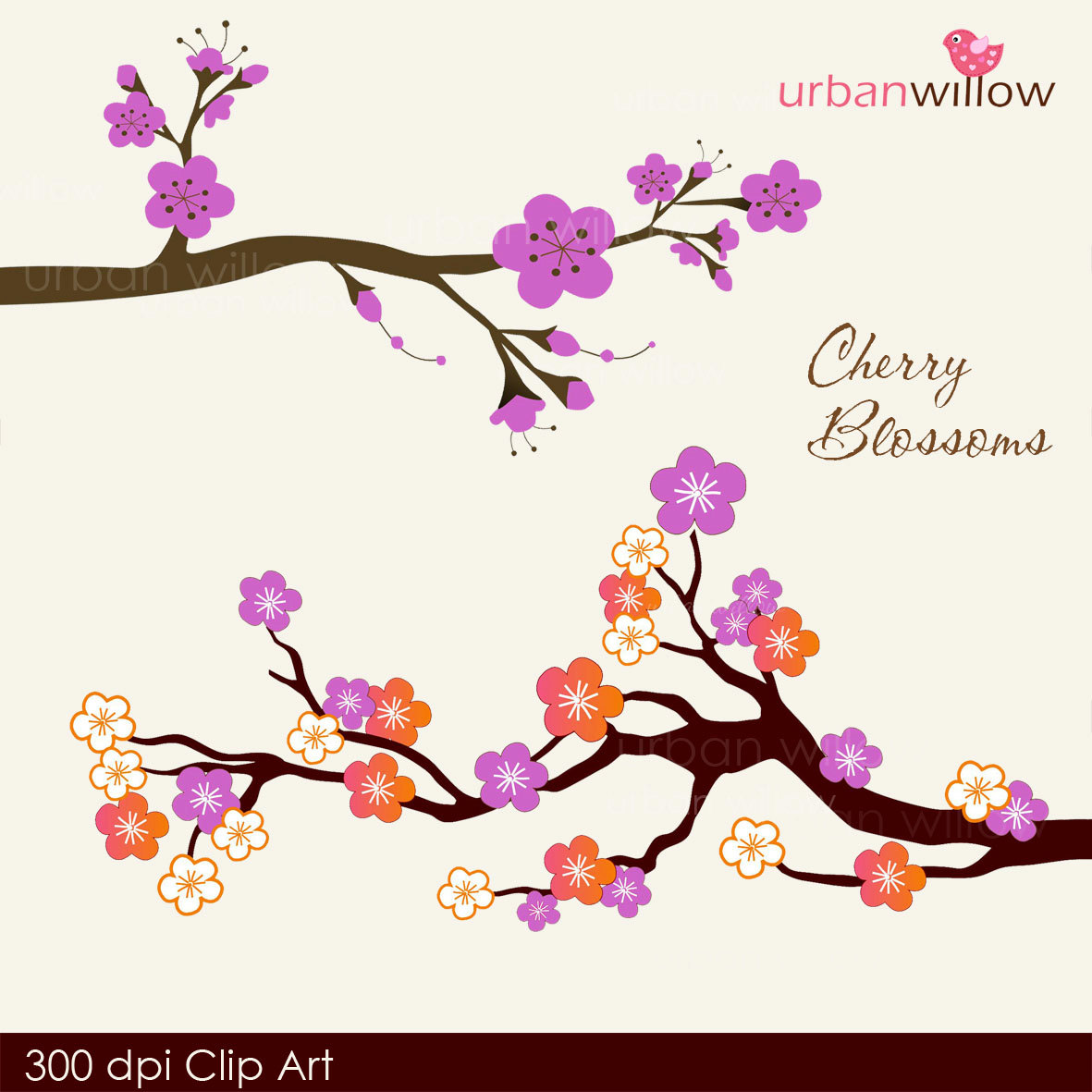 Cherry Blossom Drawings Clip Art