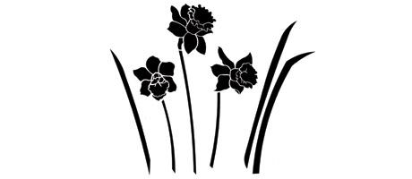 Craft Stencil - Daffodils