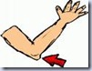 Elbow Clip Art_thumb[2].jpg? ...