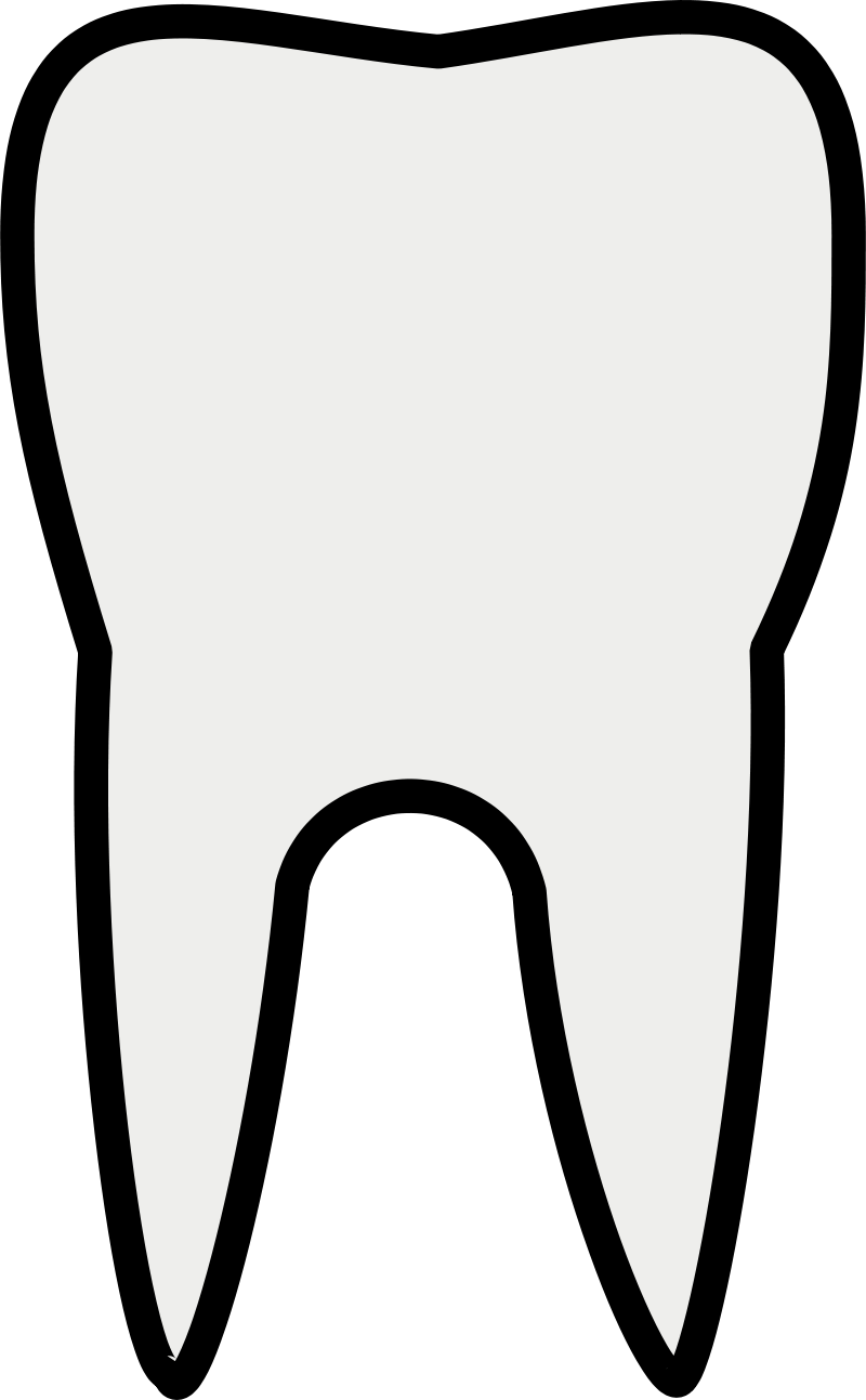 Clipart - Tooth Line Art