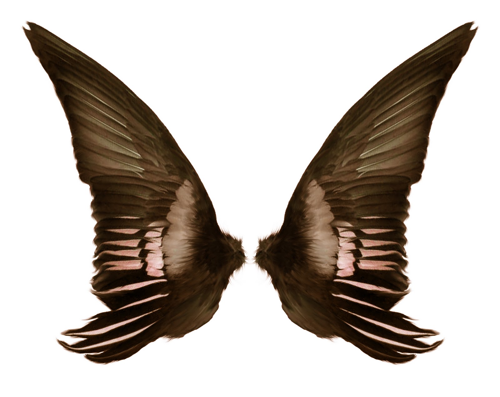 Psd Files Free Download: Dark wings, wings costume, black wings ...