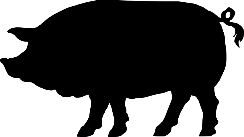 Pig Graphics | Free Download Clip Art | Free Clip Art | on Clipart ...