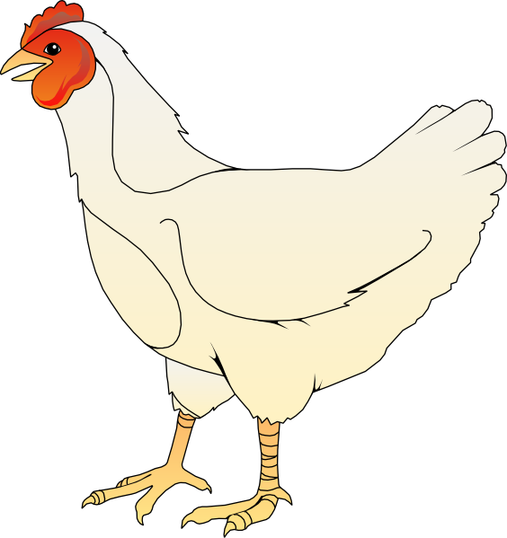 Poultry Clipart