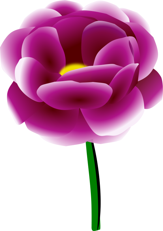 Peony Free Vector / 4Vector