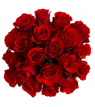 Red Roses Bouquet Delivery for Boyfriend | Birthday Flower Shop ...