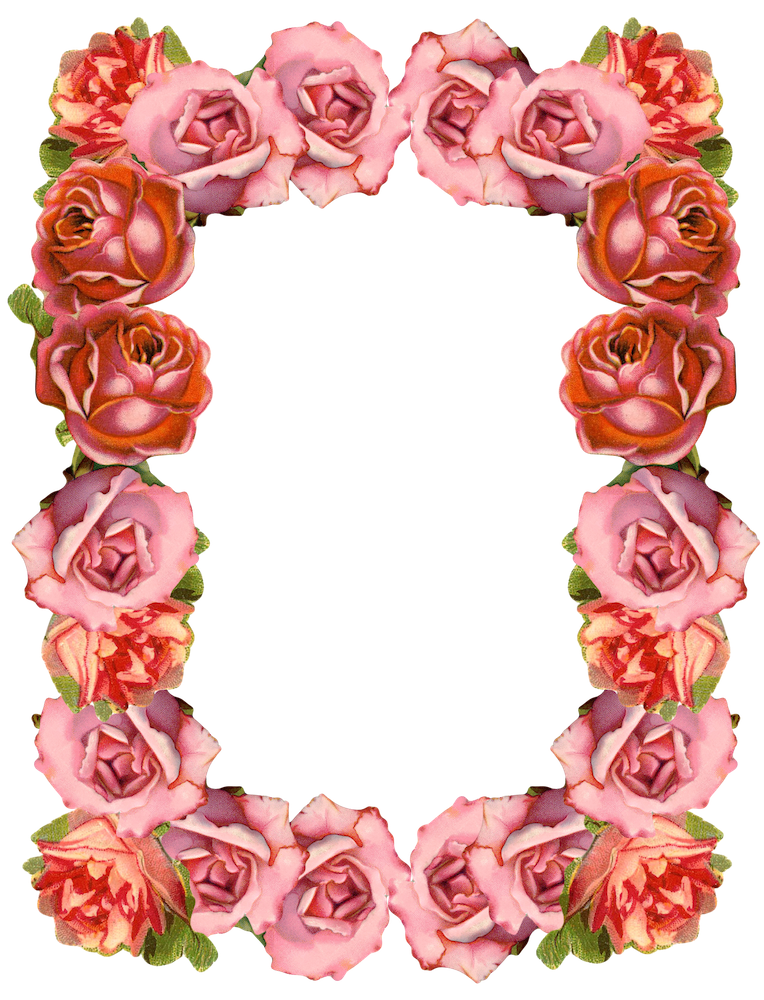 Rose Flower Border