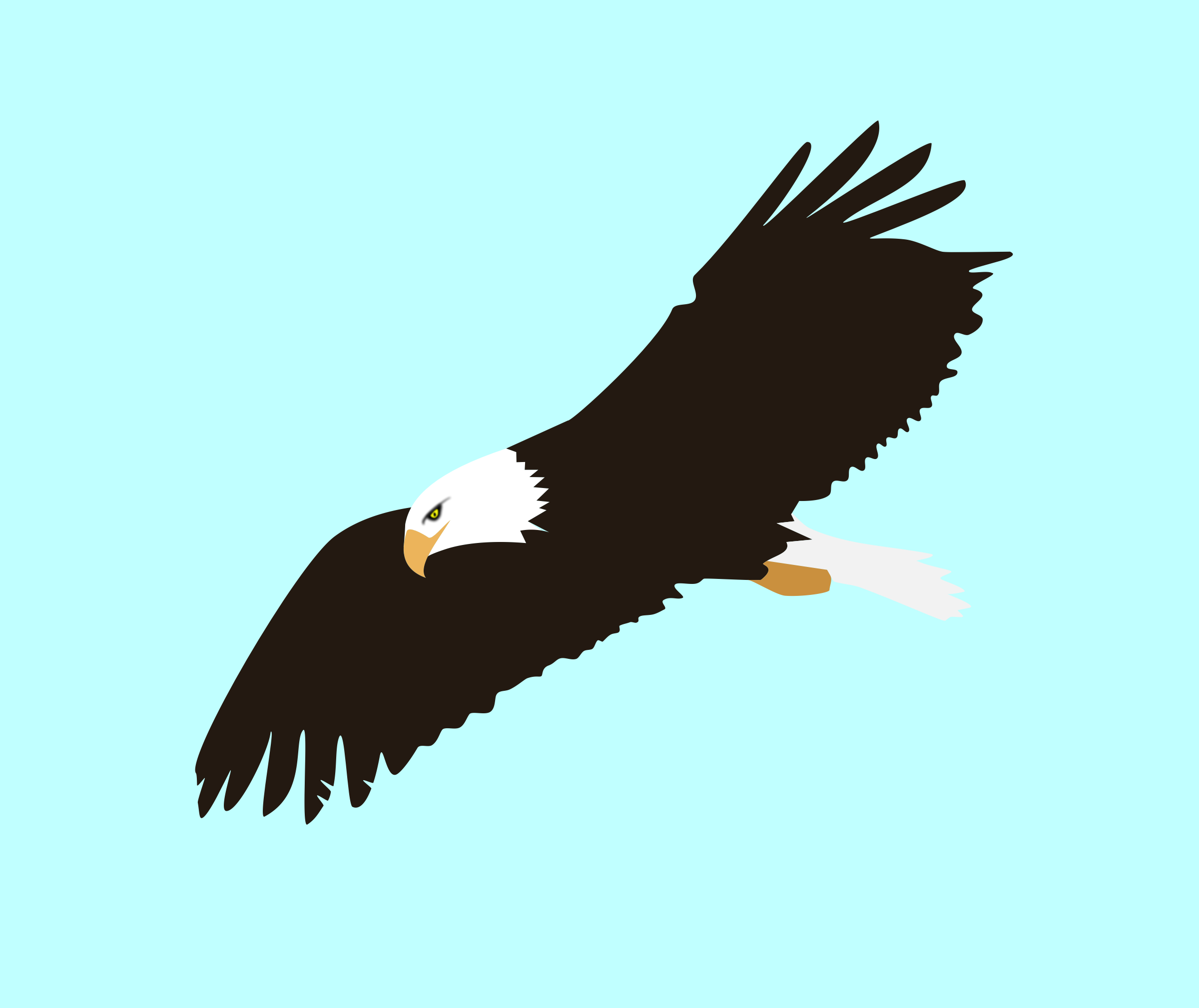 Soar - ClipArt Best