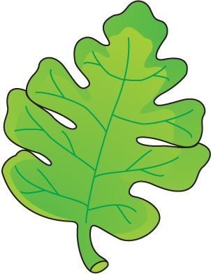 Clip Art Leaf Lettuce Clipart