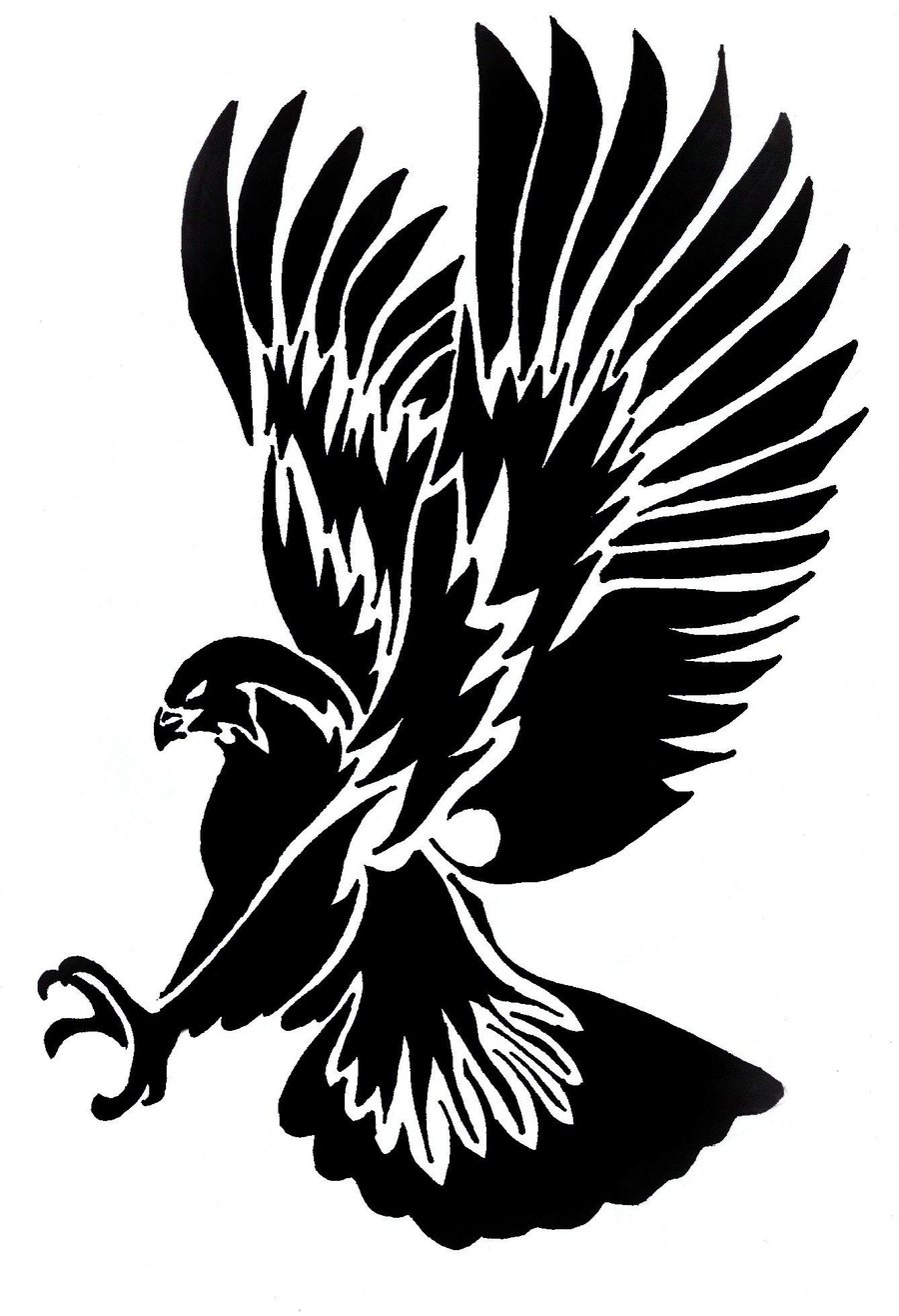 Free hawk clipart