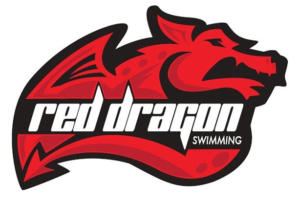 Dragons logos 512x512 sorgusuna uygun resimleri bedava indir