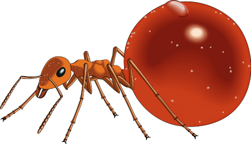 Honeypot ant clip art download image #6360