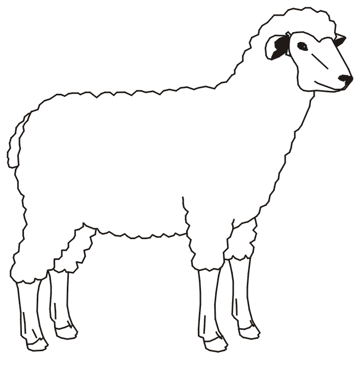 Sheep-1.gif