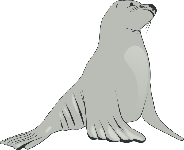 Sea Lion clip art - vector clip art online, royalty free & public ...