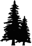 Pine Tree Graphic - ClipArt Best