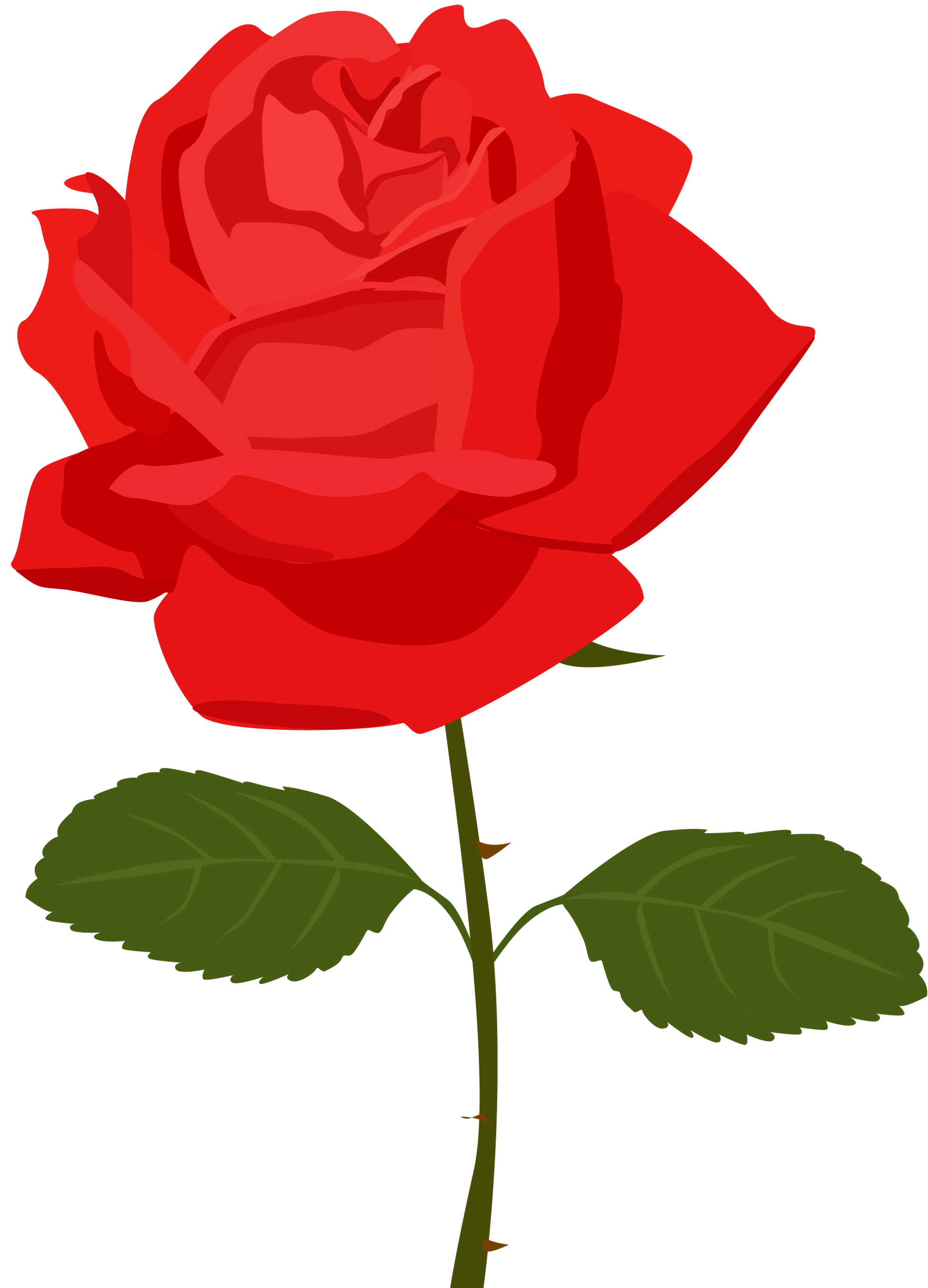 Single Red Rose Png - ClipArt Best