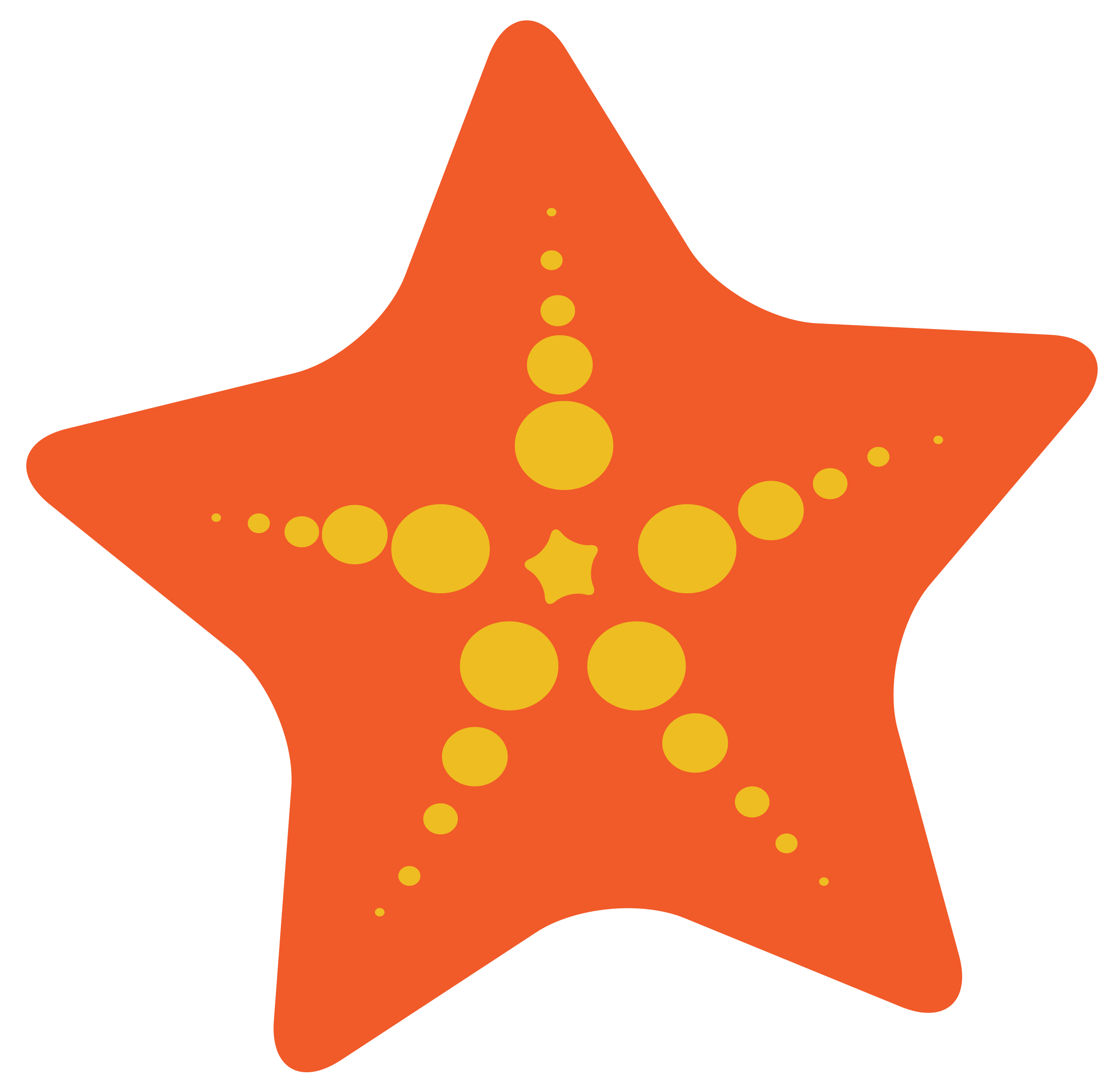 Cute Starfish Clipart - Free Clipart Images
