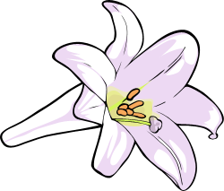 Free Easter Lily Clip Art - ClipArt Best