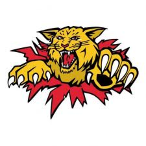 Wildcat Mascot Clipart