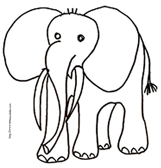 coloriage d'Ã©lÃ©phant dessin 2 - TÃªte Ã  modeler