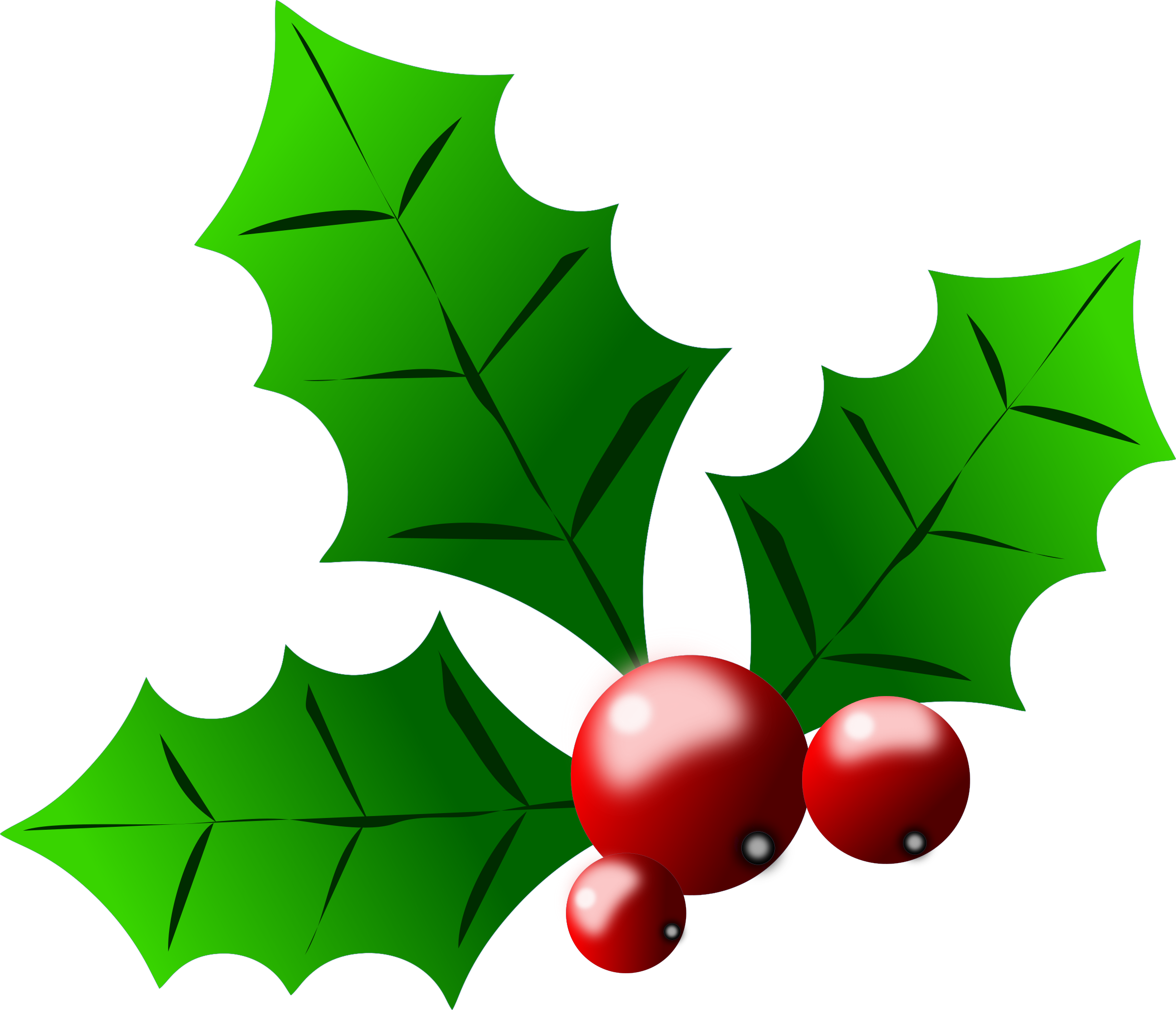 Holly and berries clip art