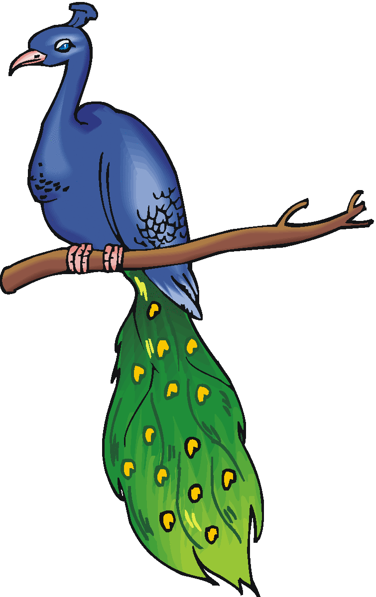 Free Peacock Clipart