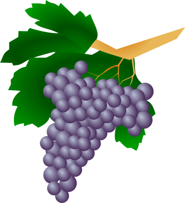 Grapes Clipart - Clipartion.com