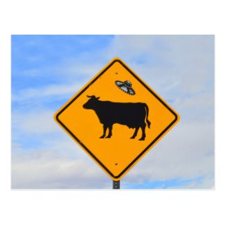 UFO Cattle Crossing Sign in New Mexico | Catherine Sherman