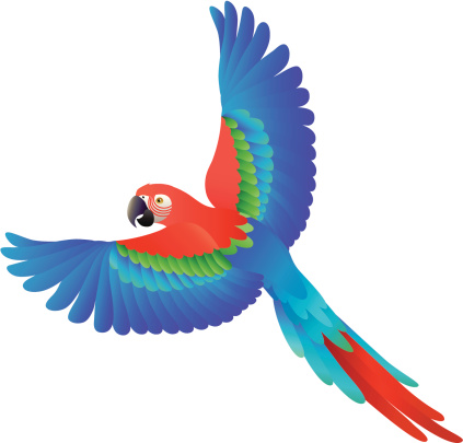 Macaw Clip Art, Vector Images & Illustrations