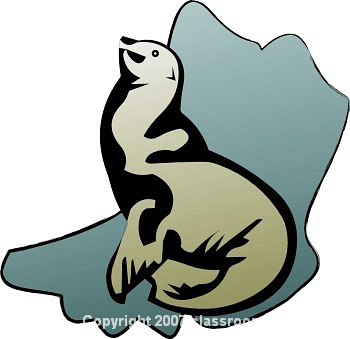 Sea Lions Clip Art - Free Clipart Images