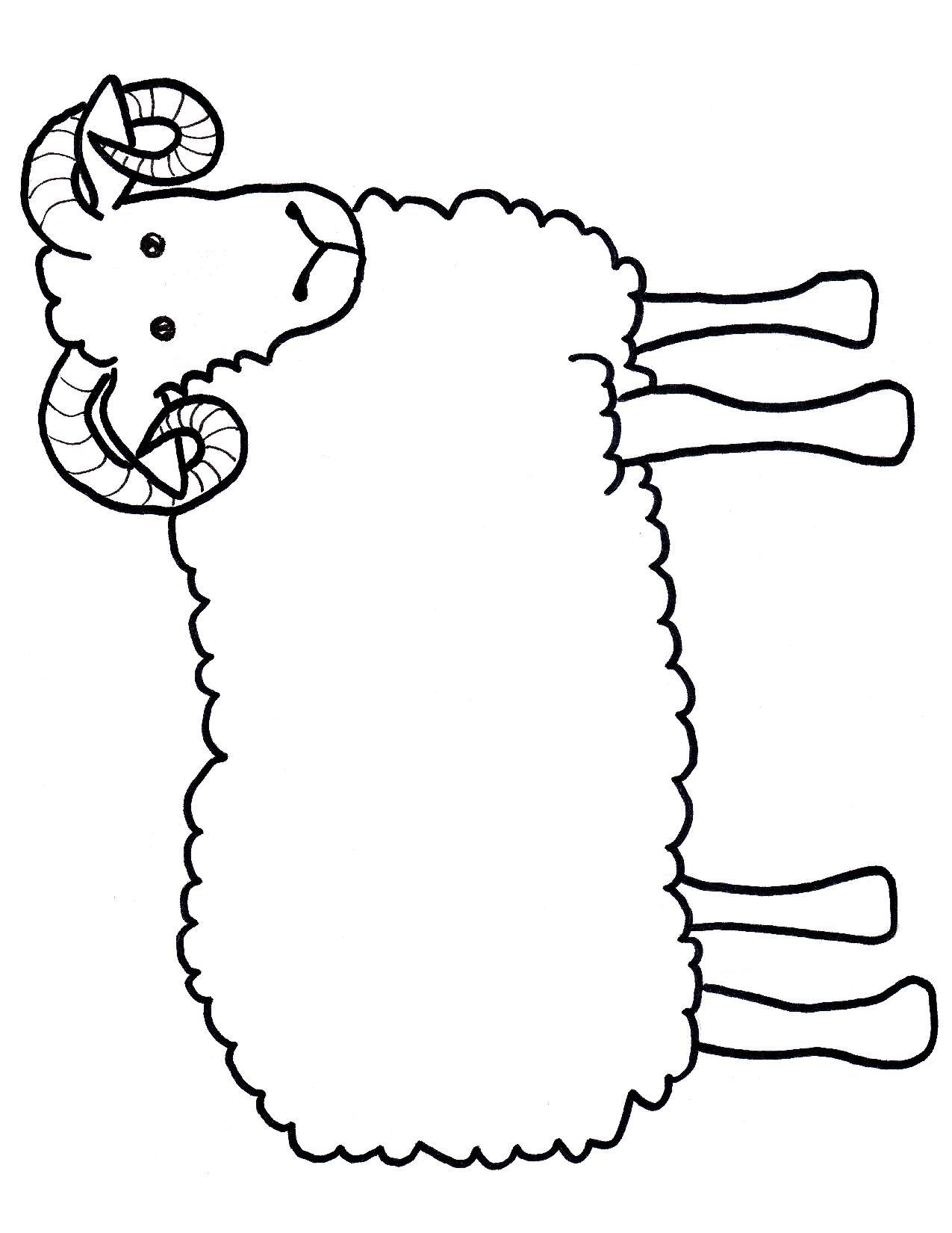 Wooly Ram